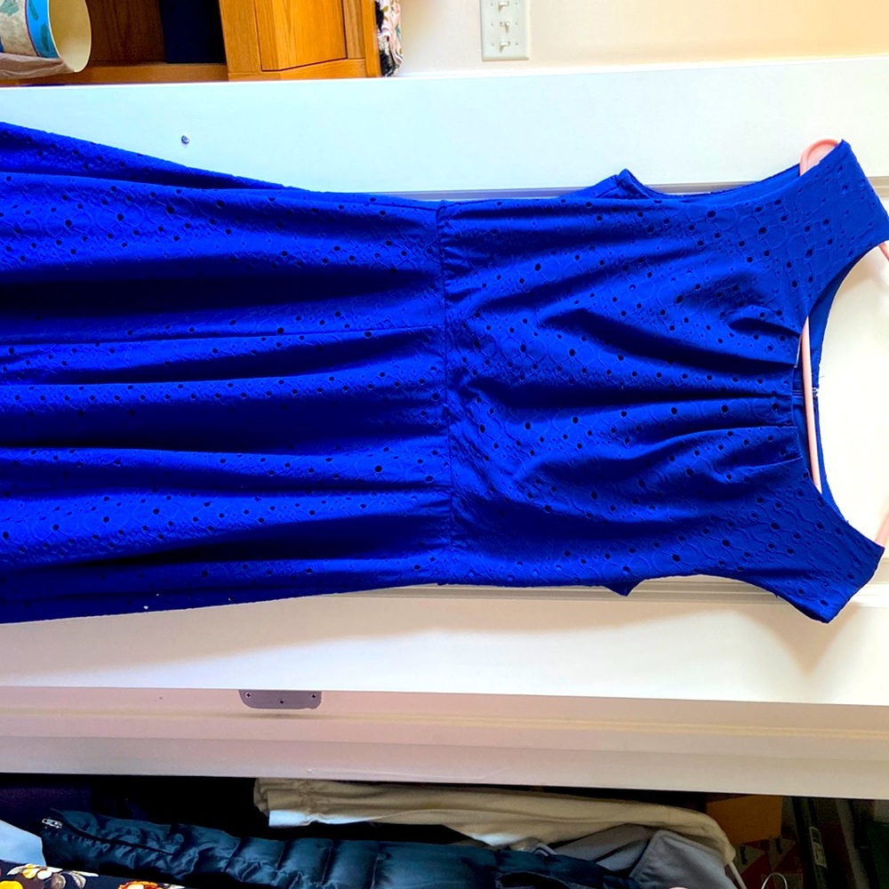Blue Skater Dress